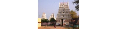 252. திருப்பாசூர்
